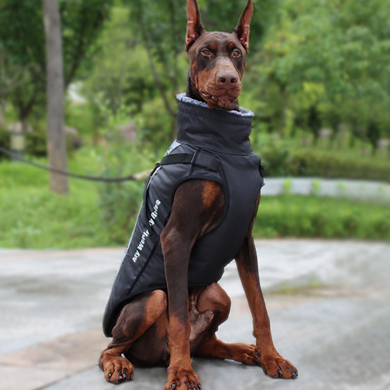 Reflektierende Hundewinterjacke mit integriertem Geschirr