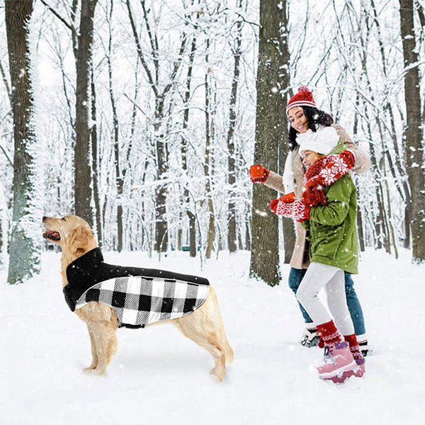 Wendbare Schottenkaro Winterjacke für Hunde