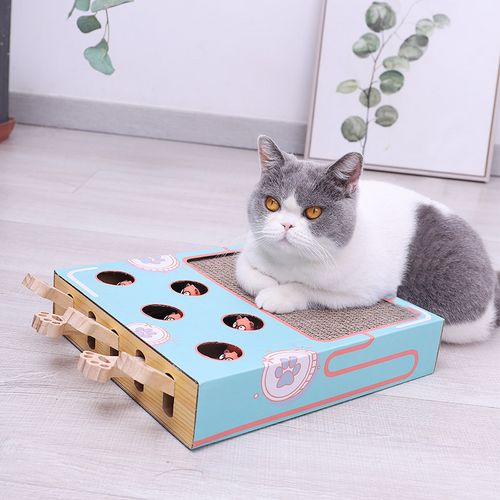 Whiskers | Interaktives 3-in-1 Katzenspielparadies