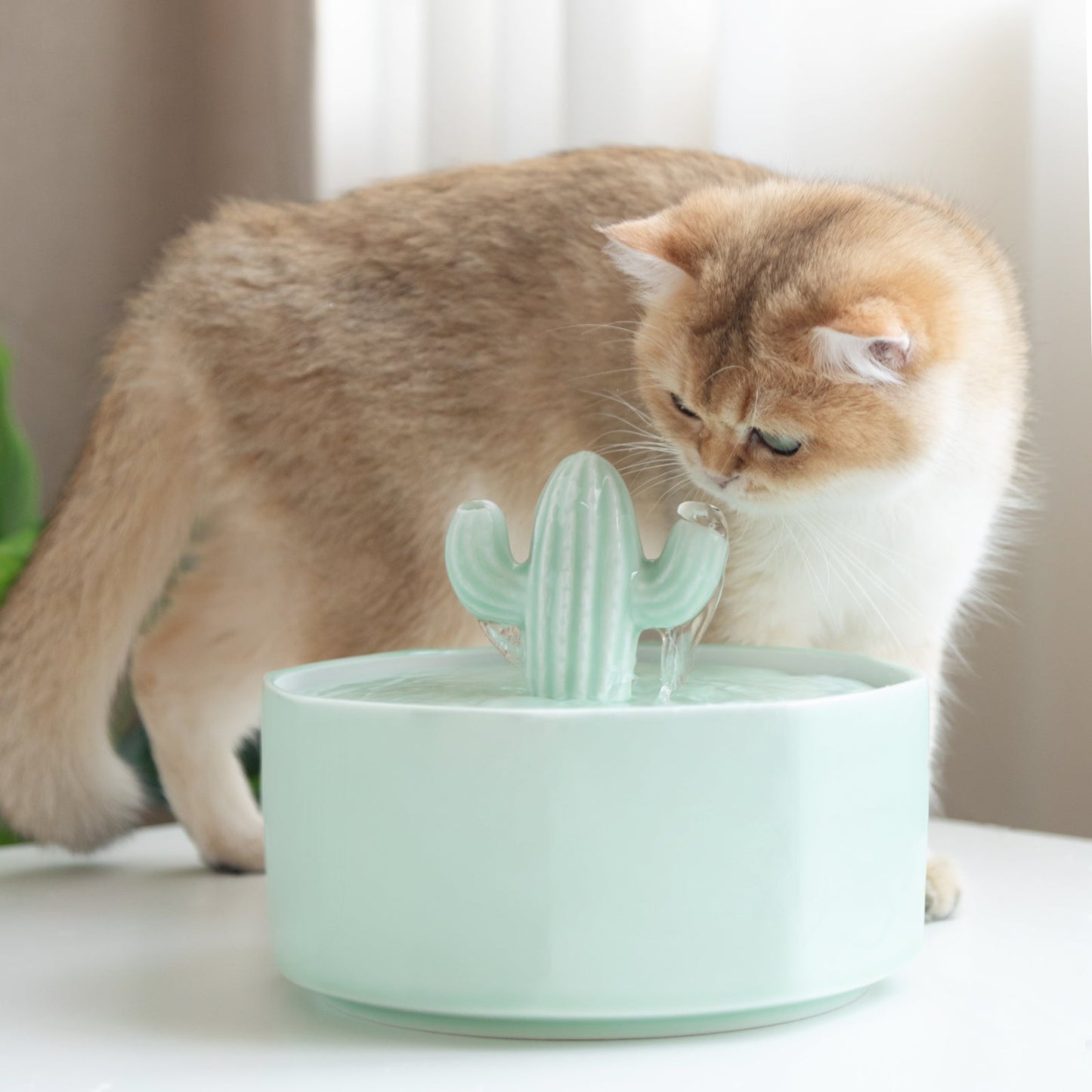 Katzenwasserbrunnen im Kaktusdesign – leise und leicht zu reinigen