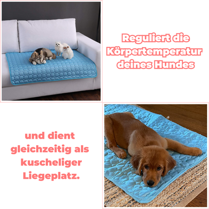 Kühlmatte für Hunde - ChillMat für erfrischende Entspannung