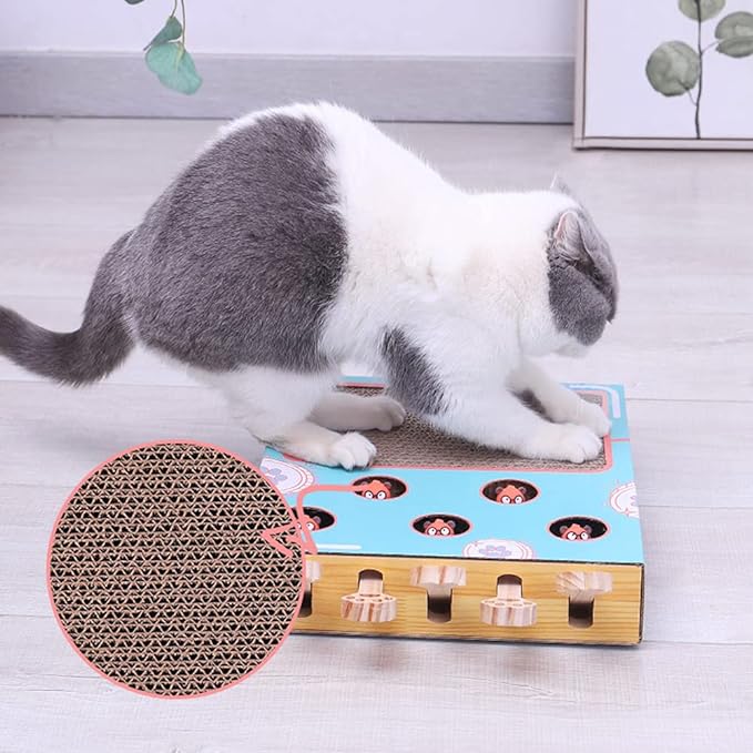 Whiskers | Interaktives 3-in-1 Katzenspielparadies