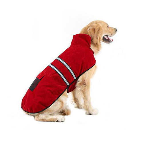 Hunde-Windjacke mit hoher Sichtbarkeit und reflektierenden Streifen