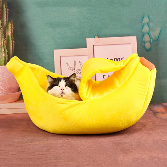 Bananen-Katzenbett