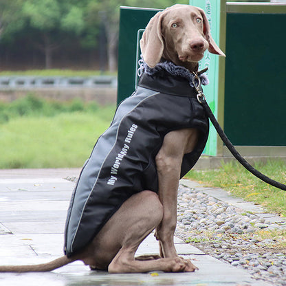 Reflektierende Hundewinterjacke mit integriertem Geschirr