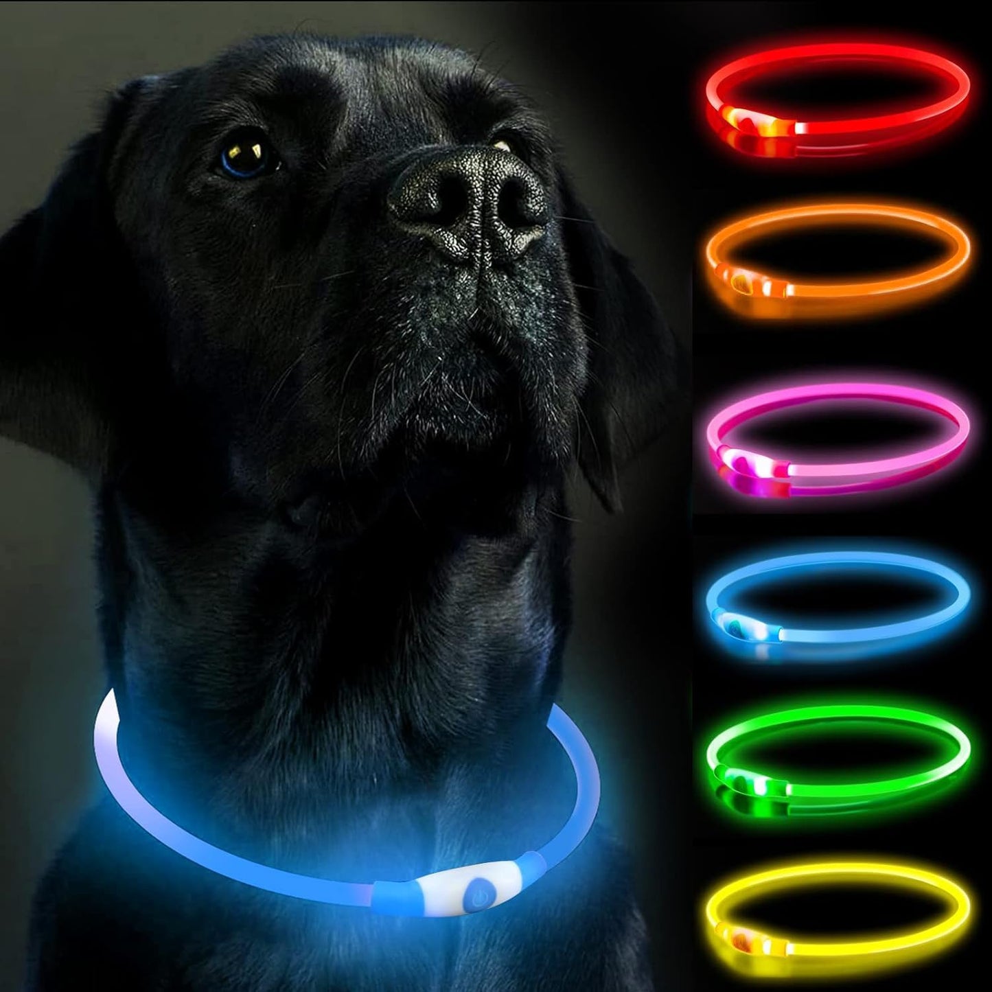 Leuchtendes LED-Hundehalsband, wiederaufladbare Hundelichter für nächtliche Spaziergänge