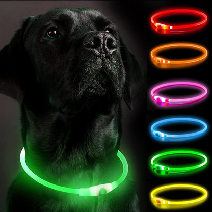 Leuchtendes LED-Hundehalsband, wiederaufladbare Hundelichter für nächtliche Spaziergänge