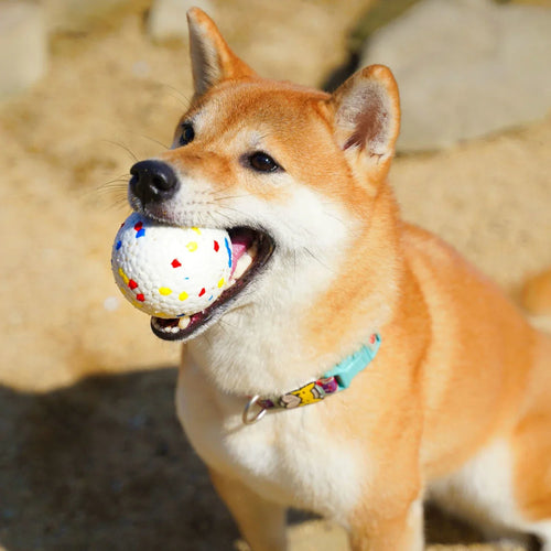 Kaito | Umweltfreundlicher und langlebiger Hundeball (2er-Set)