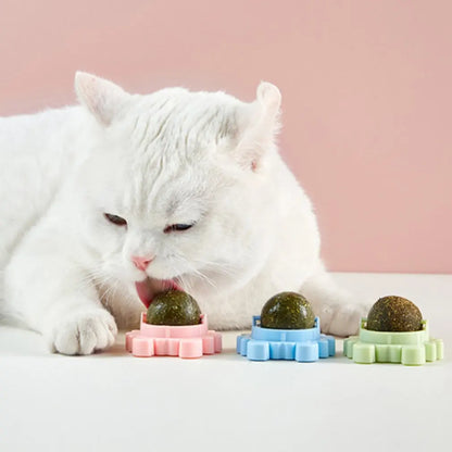 Yummy | Katzenminze-Spielball