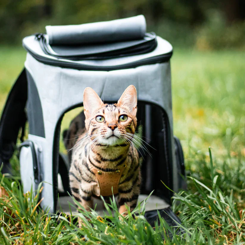 Jip Katzenrucksack für Abenteuer mit Ihrem pelzigen Freund