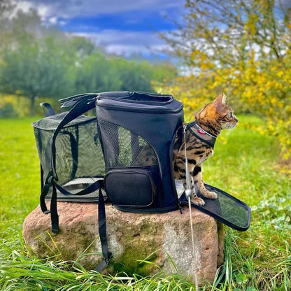 Jip Katzenrucksack für Abenteuer mit Ihrem pelzigen Freund