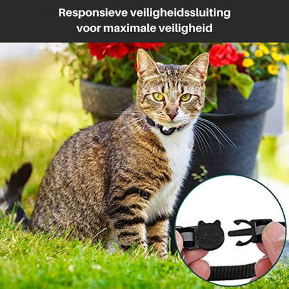 Feline Freiheit Katzenhalsband mit Sicherheitsverschluss und GPS-Tracker-Halterung