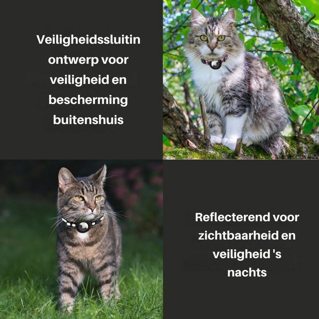 Feline Freiheit Katzenhalsband mit Sicherheitsverschluss und GPS-Tracker-Halterung