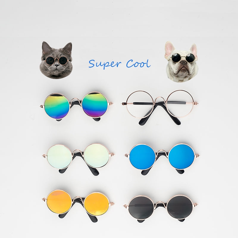 Super stylische Haustier-Sonnenbrille