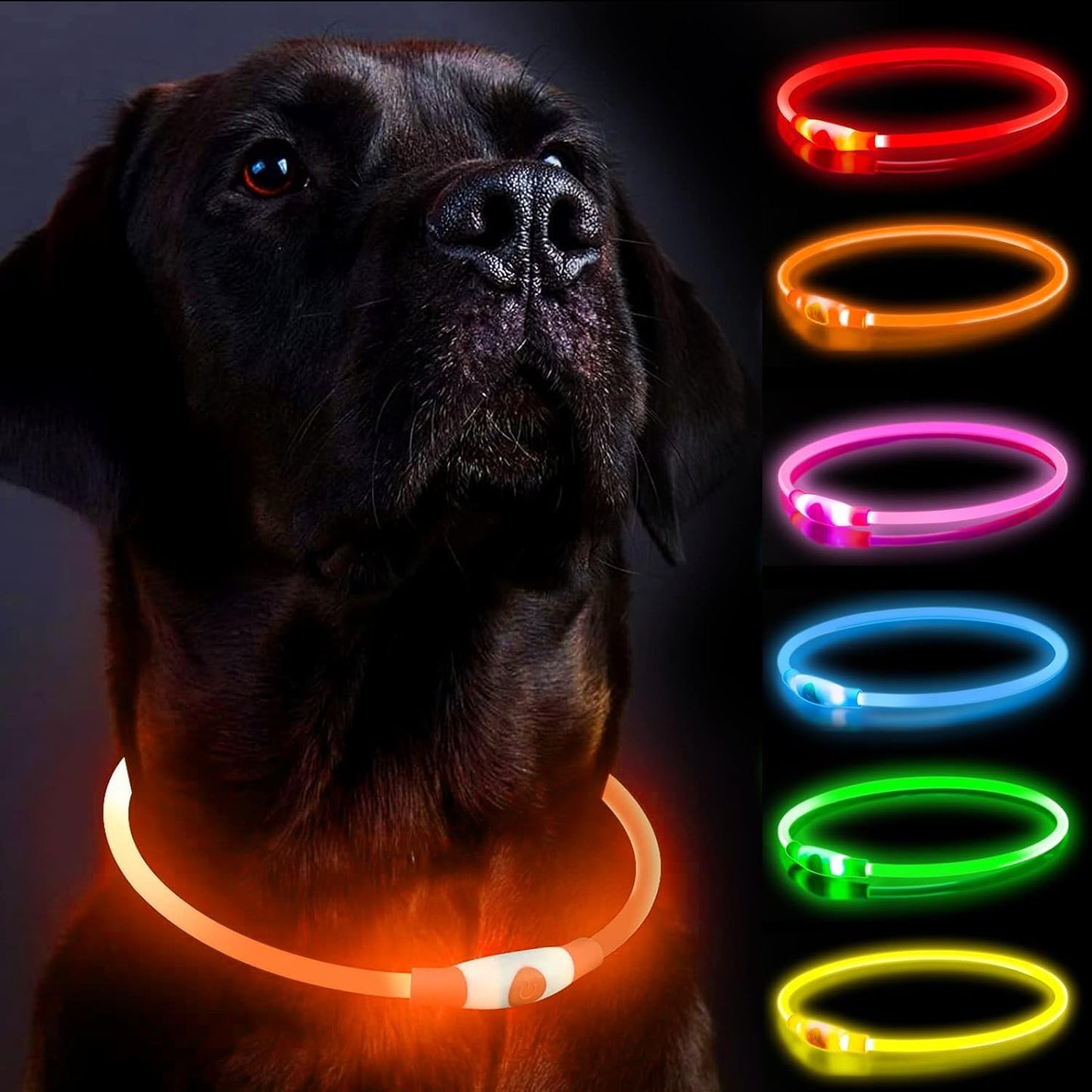 Leuchtendes LED-Hundehalsband, wiederaufladbare Hundelichter für nächtliche Spaziergänge