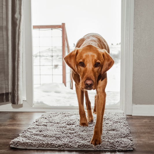 Joep Hundematte für saubere Pfoten