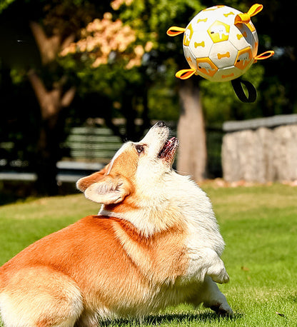 Interaktiver Hunde-Fußball