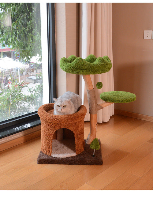 Natürlicher Katzenbaum aus Holz mit gemütlichem Rückzugsort