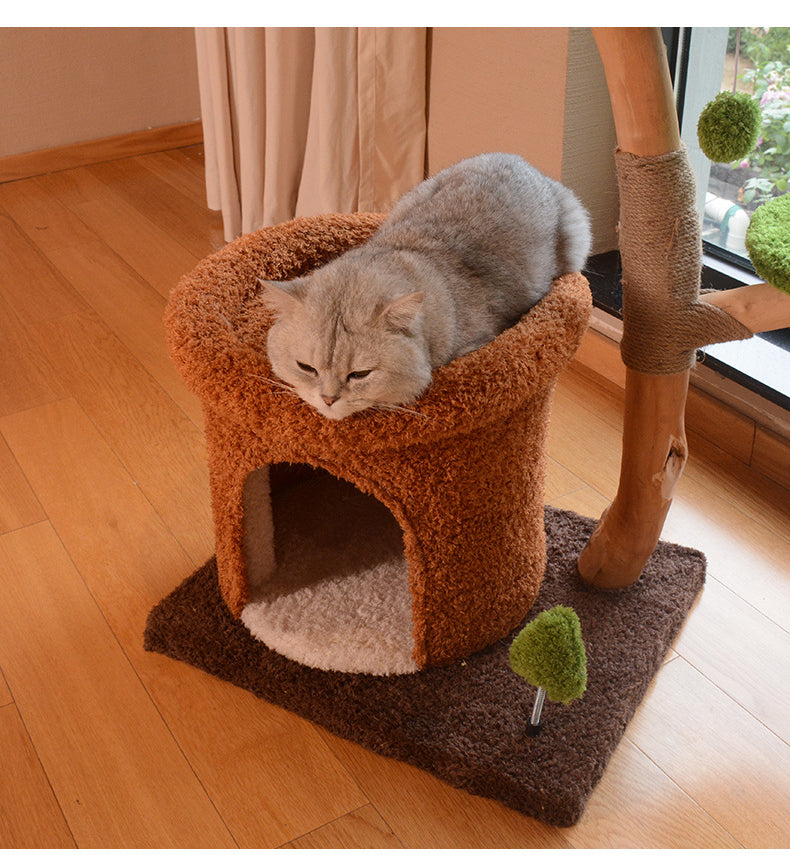 Natürlicher Katzenbaum aus Holz mit gemütlichem Rückzugsort