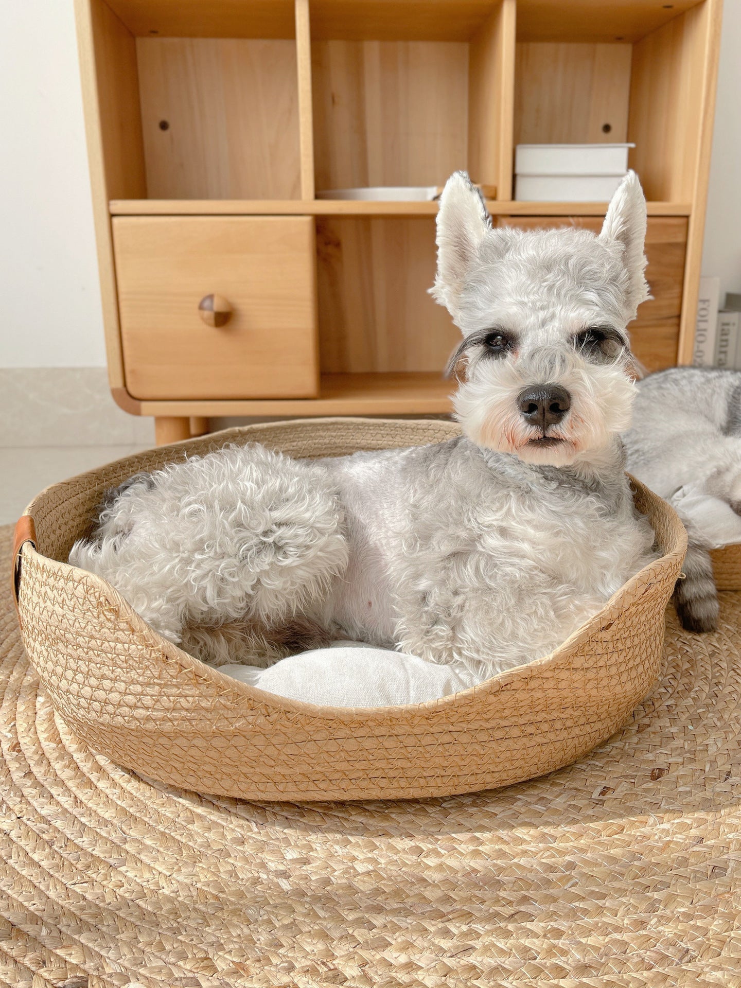 Lucas | Elegantes und gemütliches Katzenbett