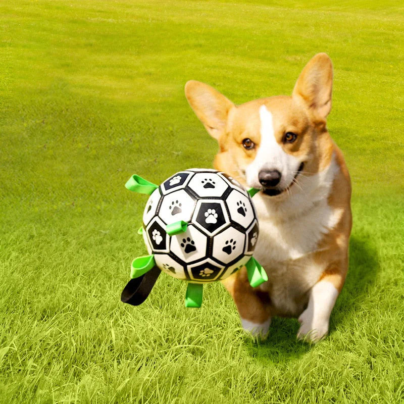 Jack - Interaktiver Hundeball für stundenlangen Spielspaß