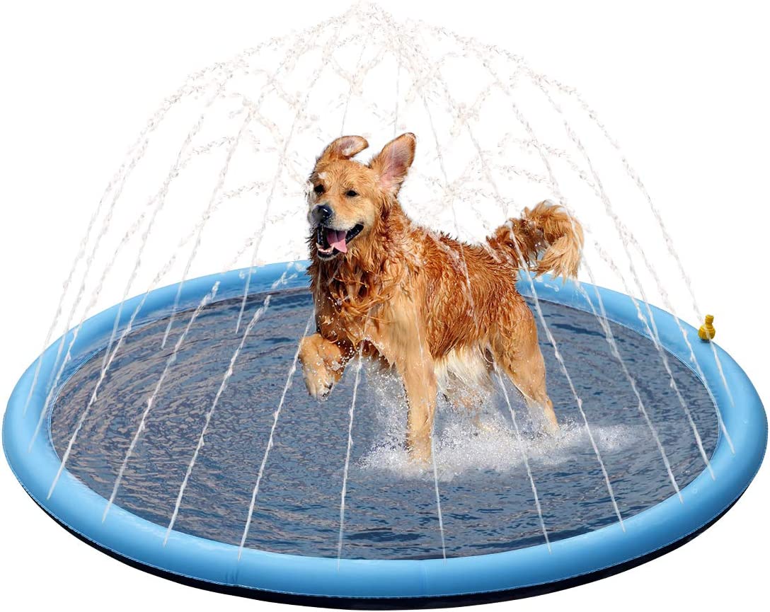 FunPup Spritzvergnügen Pool - Erfrischender Wasserspaß für Ihre Fellnase!