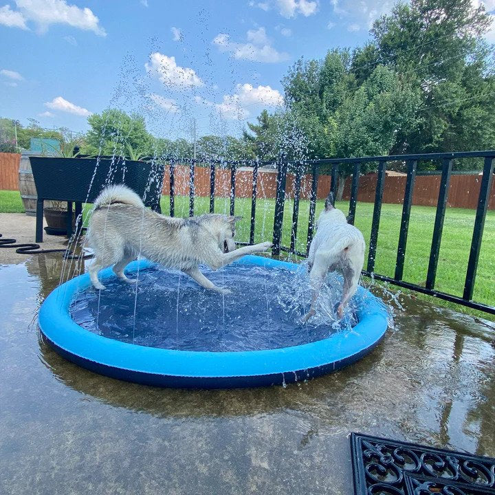 FunPup Spritzvergnügen Pool - Erfrischender Wasserspaß für Ihre Fellnase!