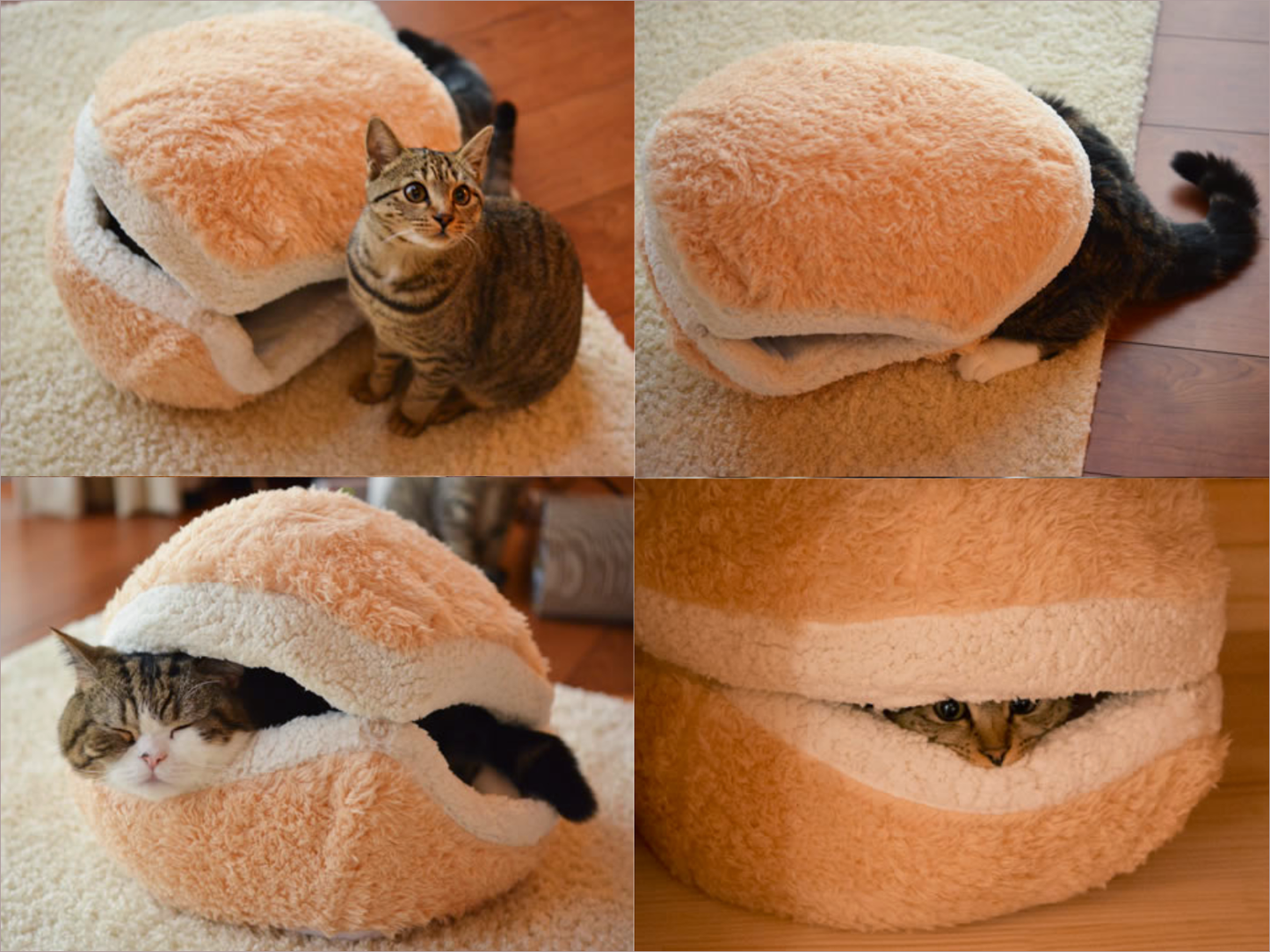 Gemütliches Katzenbett im Burger-Design mit Windschutz