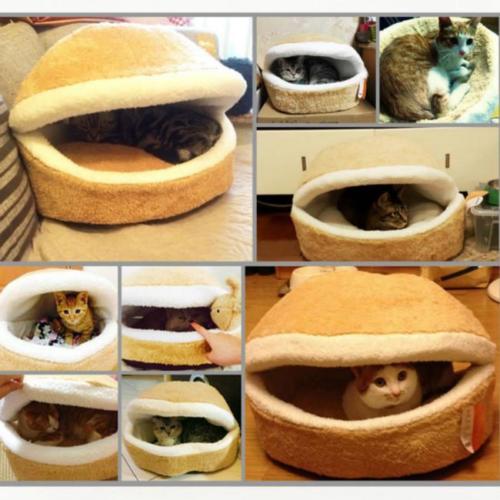 Gemütliches Katzenbett im Burger-Design mit Windschutz