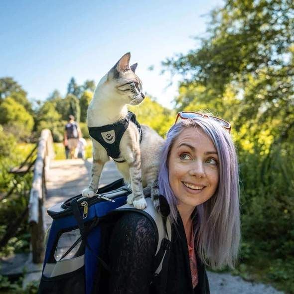 Lorena reflektierendes Katzengeschirr