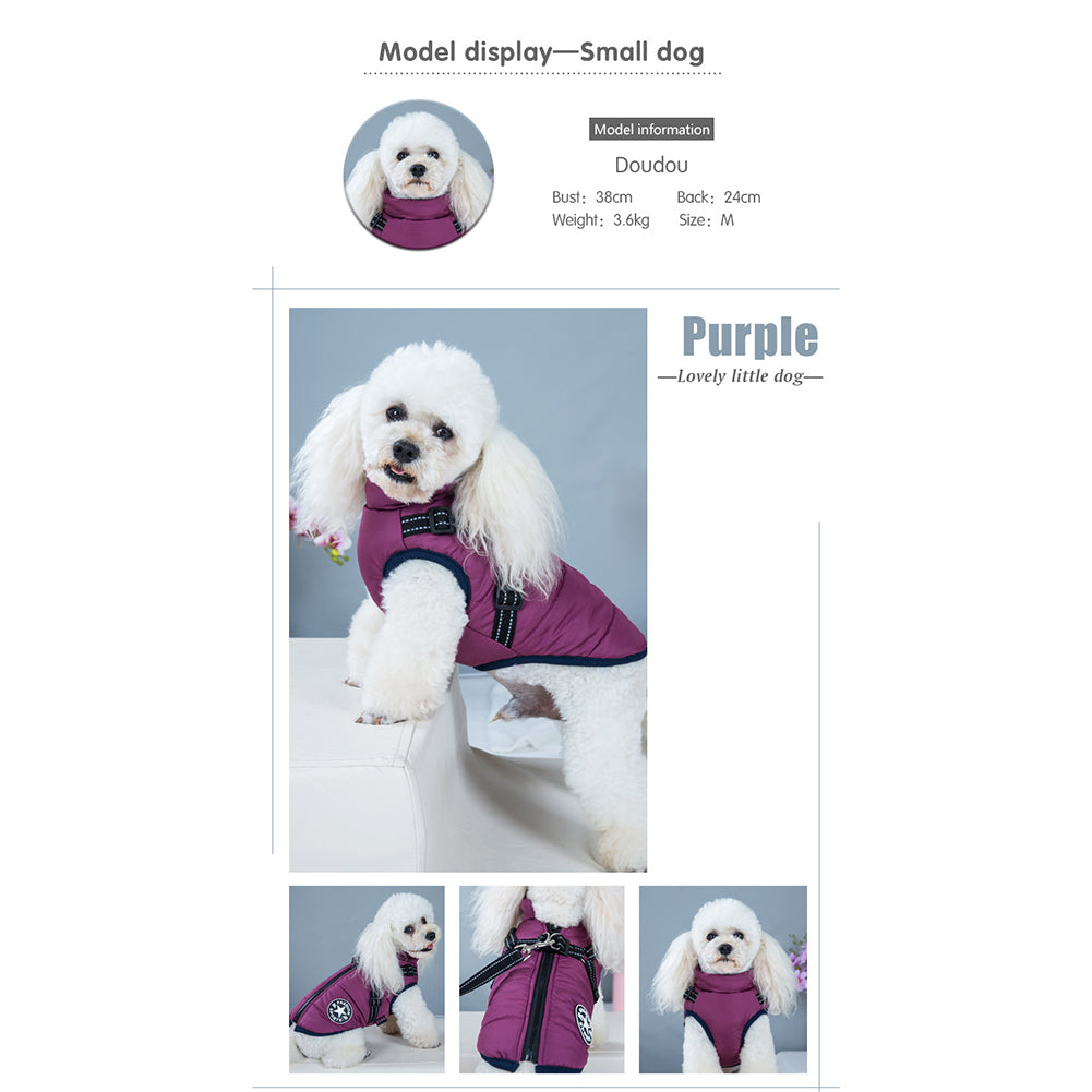 Wasserdichte Winterjacke mit integriertem Hundegeschirr