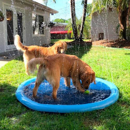 FunPup Spritzvergnügen Pool - Erfrischender Wasserspaß für Ihre Fellnase!