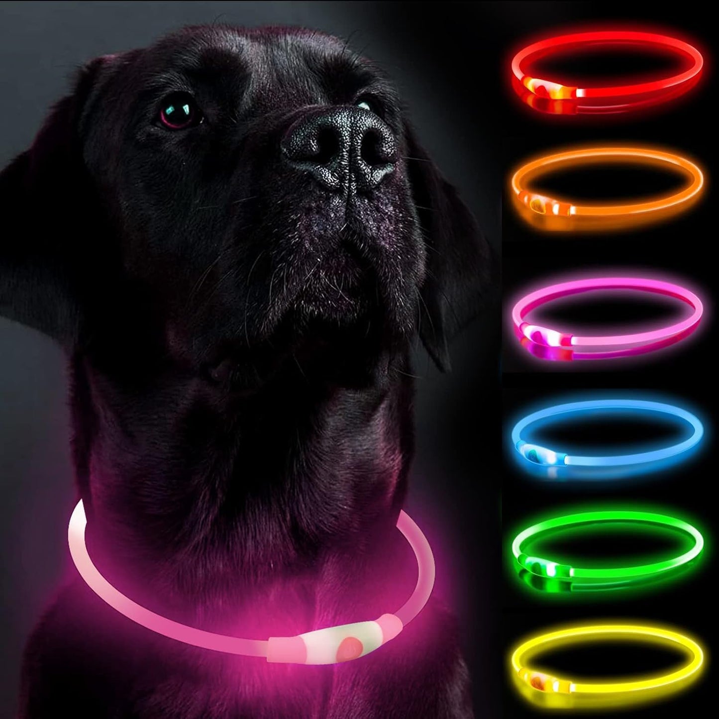 Leuchtendes LED-Hundehalsband, wiederaufladbare Hundelichter für nächtliche Spaziergänge