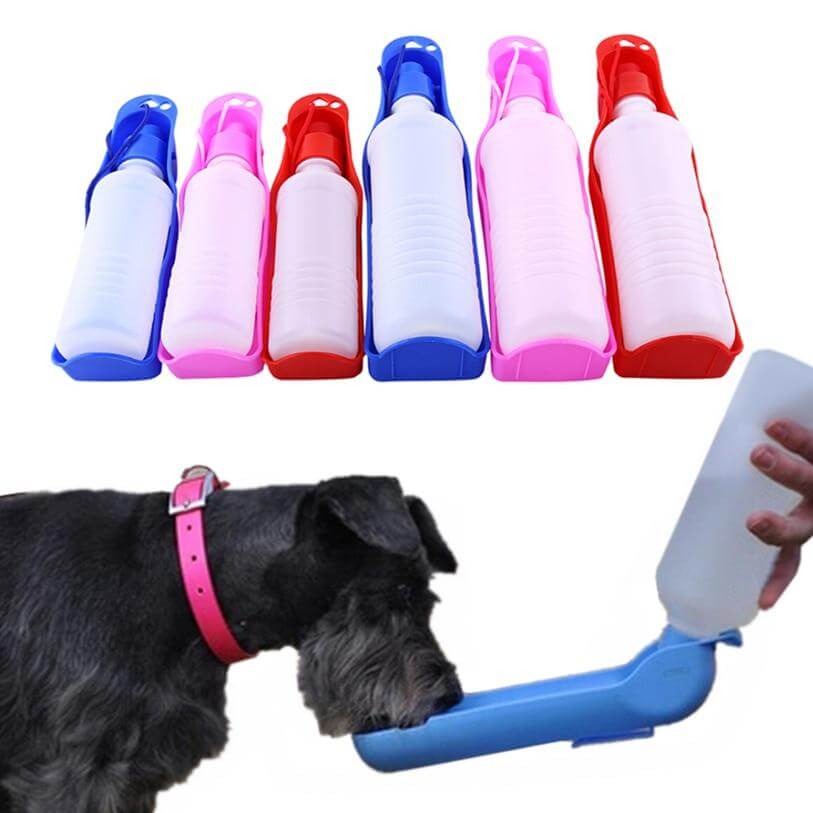 Praktische Hundetrinkflasche für unterwegs