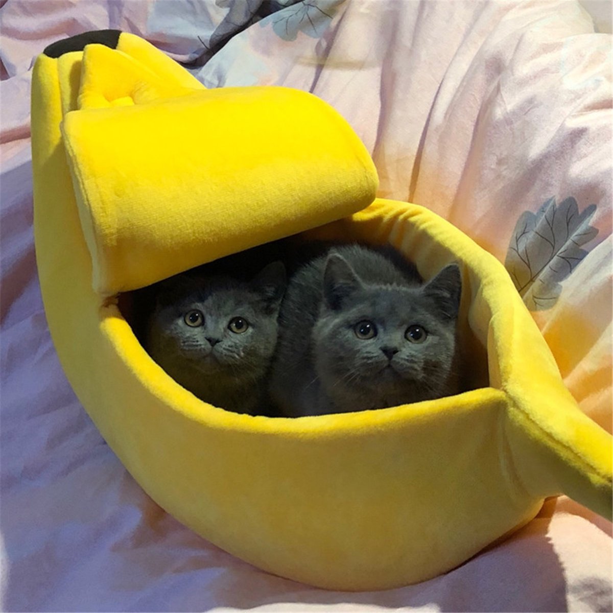 Gemütliches Bananenbett für Katzen