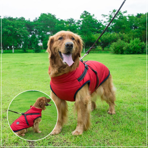 Wasserdichte Winterjacke mit integriertem Hundegeschirr