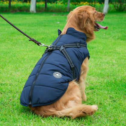 Wasserdichte Winterjacke mit integriertem Hundegeschirr