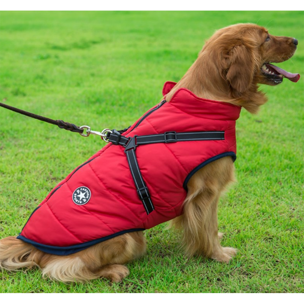 Wasserdichte Winterjacke mit integriertem Hundegeschirr