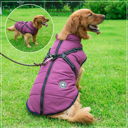 Wasserdichte Winterjacke mit integriertem Hundegeschirr