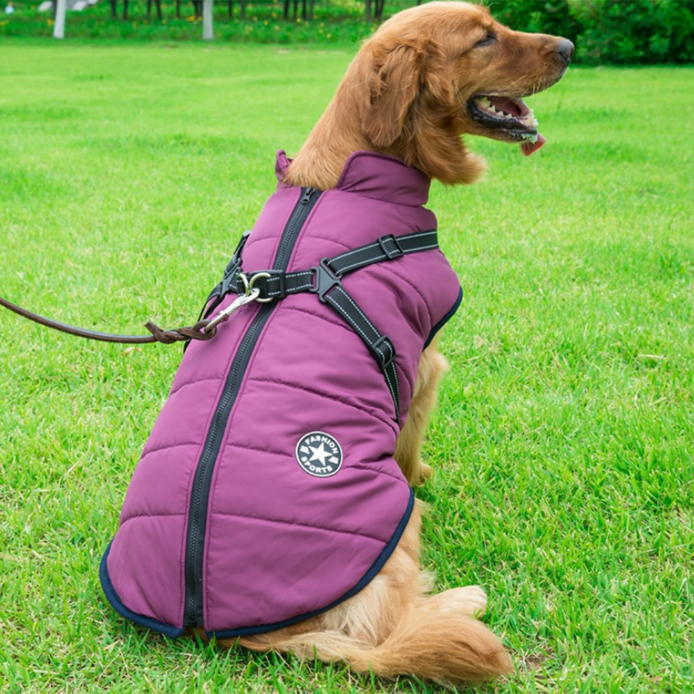 Wasserdichte Winterjacke mit integriertem Hundegeschirr