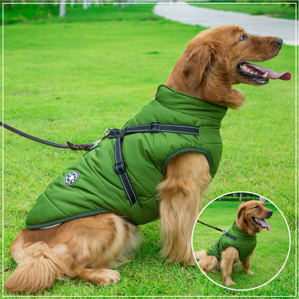 Wasserdichte Winterjacke mit integriertem Hundegeschirr