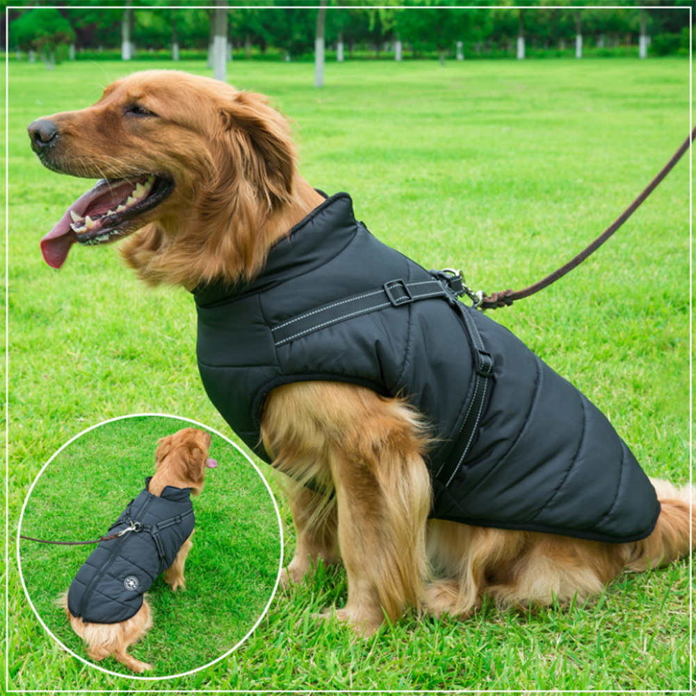 Wasserdichte Winterjacke mit integriertem Hundegeschirr