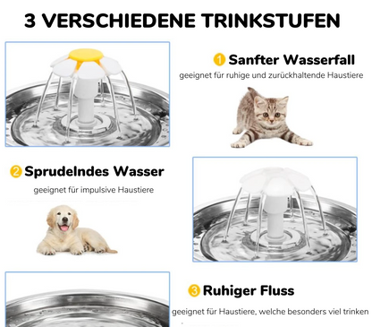 Automatische Trinkbrunnen für Haustiere - Katzenbrunnen Premium Edition