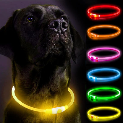 Leuchtendes LED-Hundehalsband, wiederaufladbare Hundelichter für nächtliche Spaziergänge